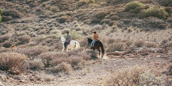 two riders on horseback on Araby Trail