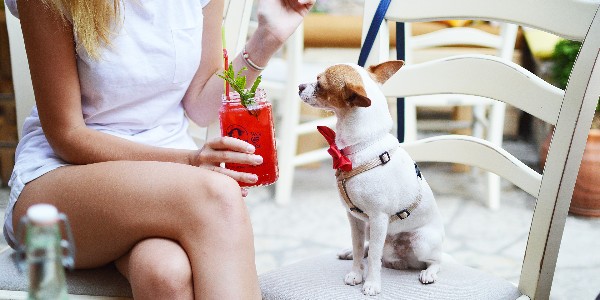 Woman with beverage and dog on chair